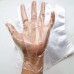 Disposable Gloves (PE)